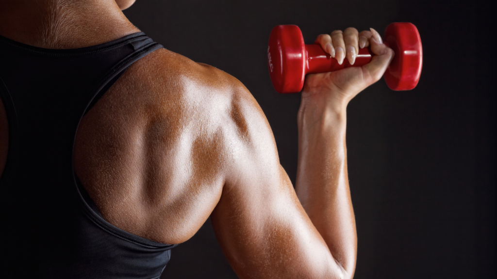 A wide interior view of Spark 3 Fitness, one of the best gyms Bangalore, featuring high-end strength training equipment and a clean, modern workout environment in Kammanahalli.